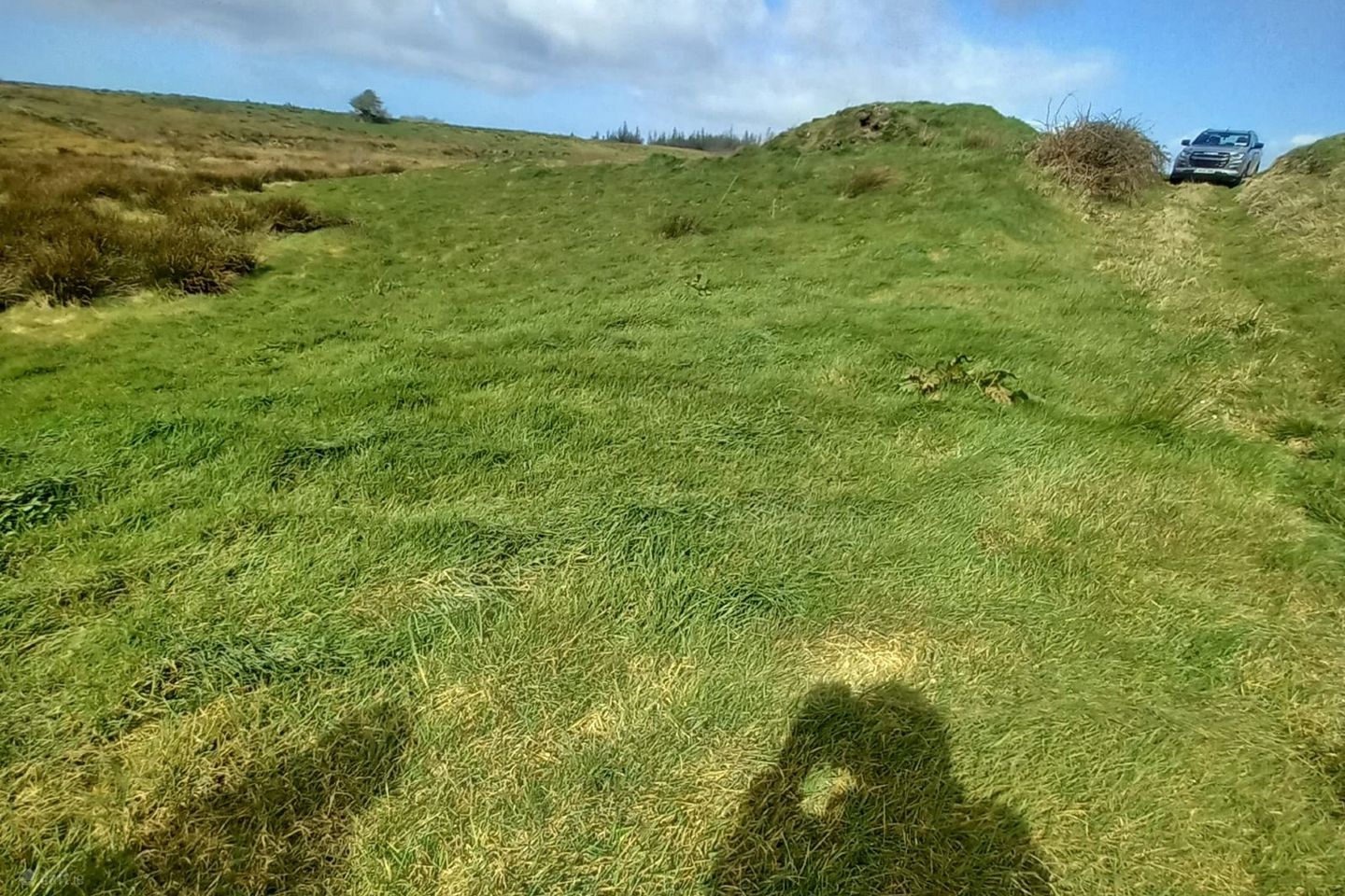 Roughan, Kilfenora, Ennis, Caherconnel, Co. Clare, V95T9T3