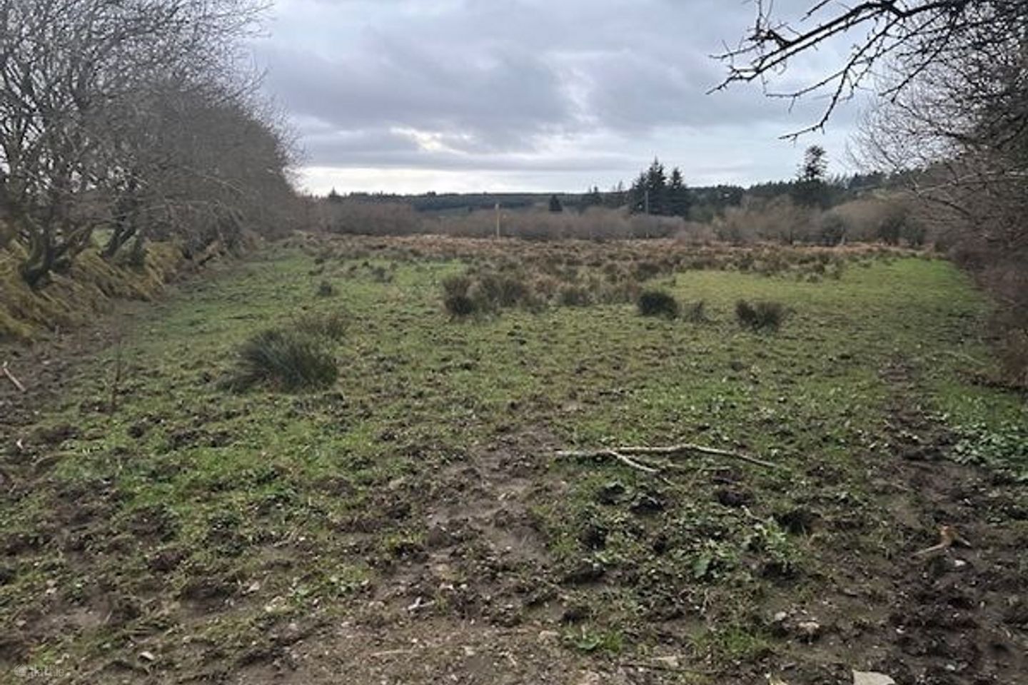 c.4.31 Ac. Tureenamult, Gneevguilla, Co. Kerry