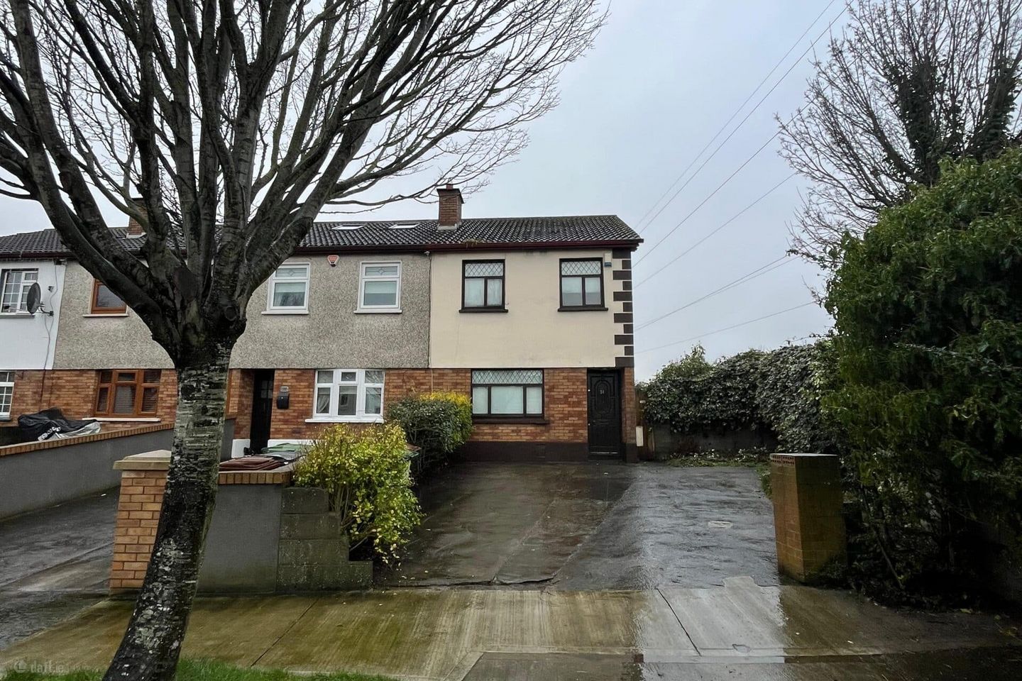 Wood Avens, Clondalkin, Dublin 22