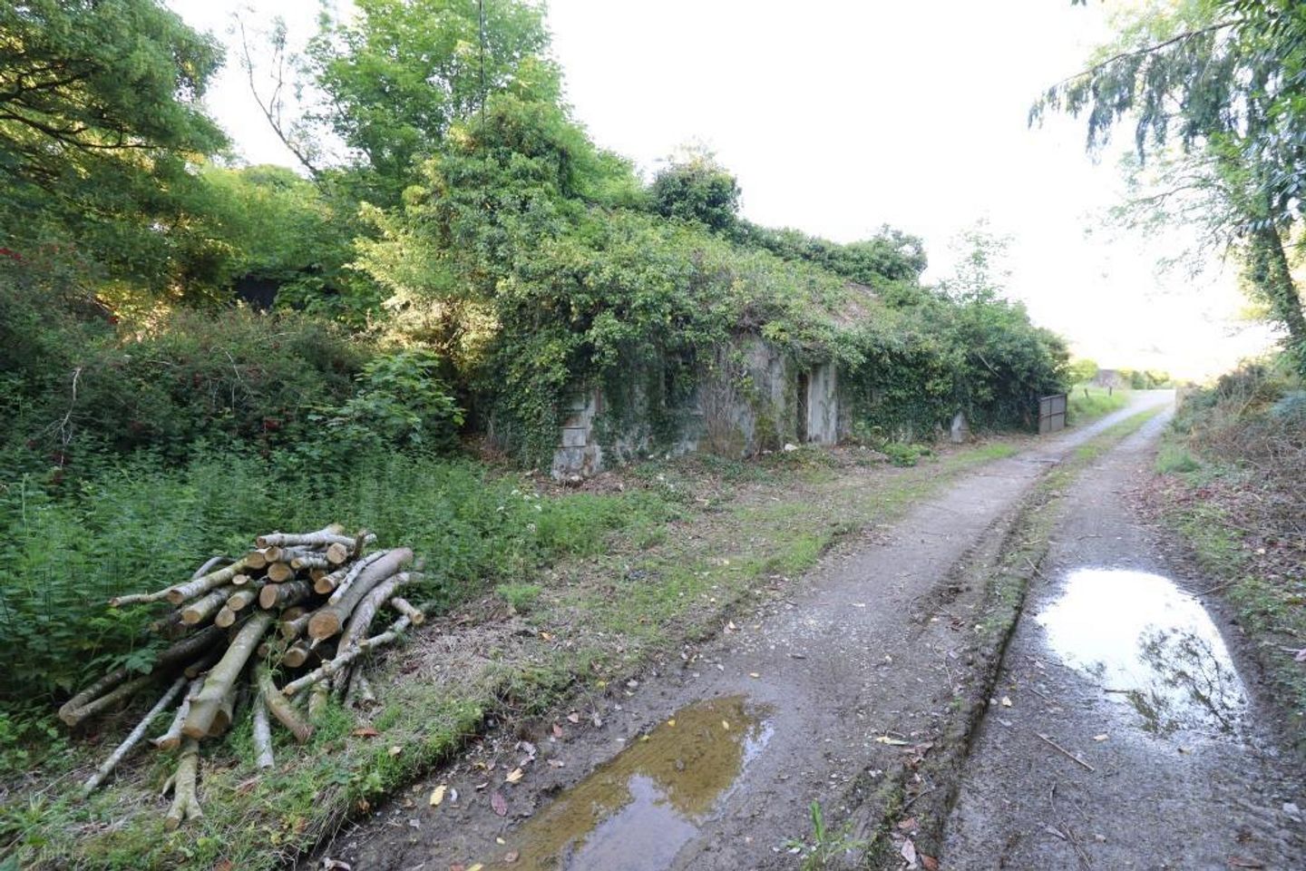 Ballydonoghue, Ballyorgan, Co. Limerick