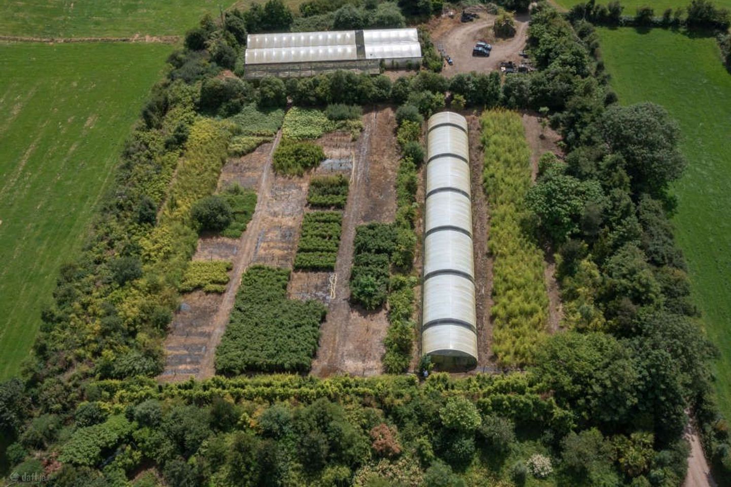 Stams Bamboo Nursery Ltd., Ballinwillin, Lismore, Co. Waterford, P51DK12