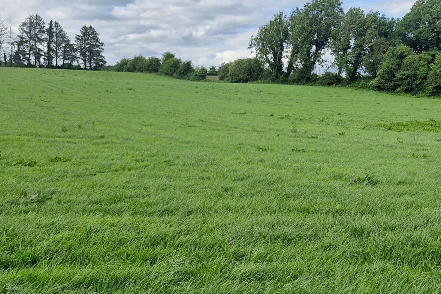 Pollatlugga, Cappataggle, Ballinasloe, Rooaun, Co. Galway, H53KX01