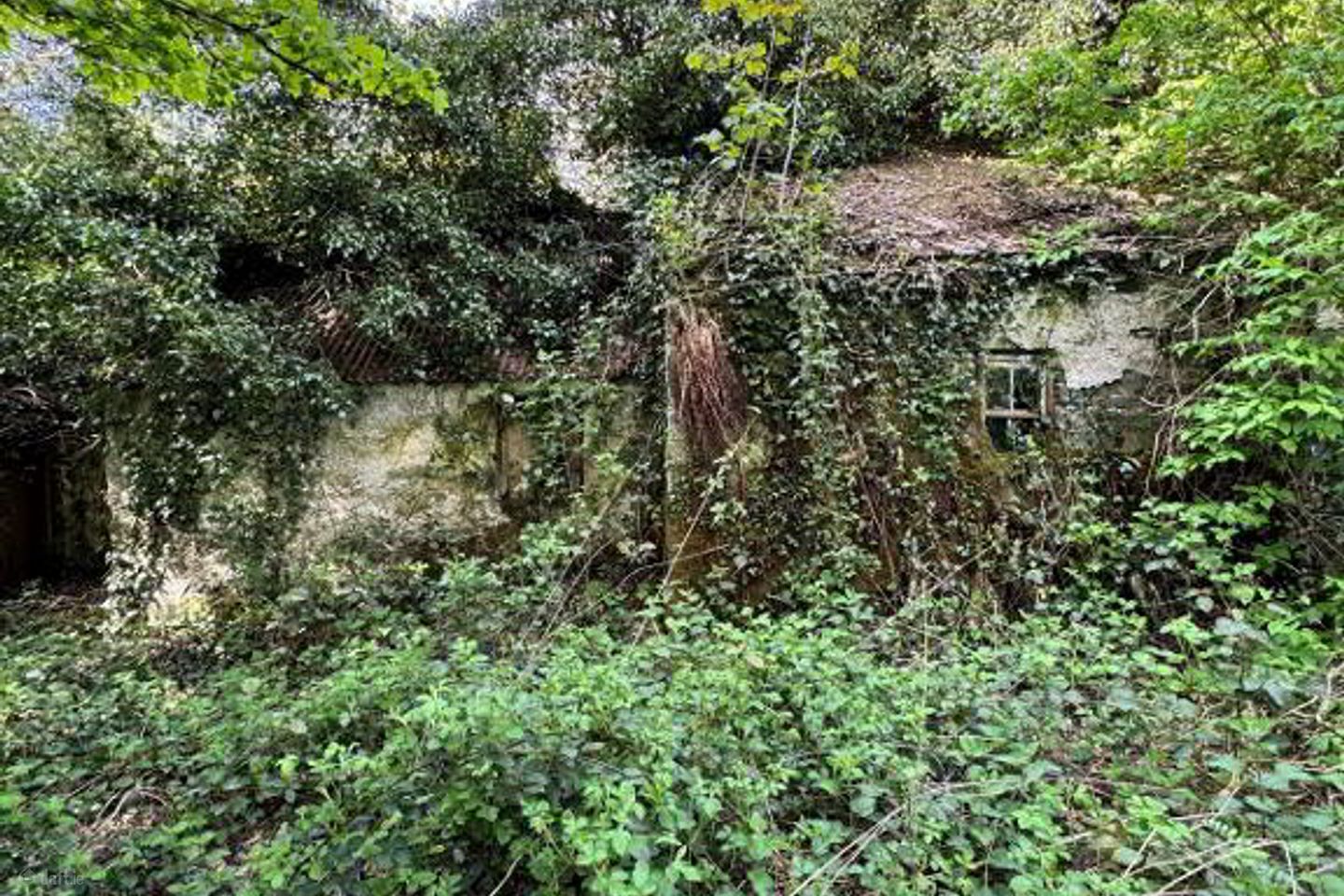 Coohey, Ballybay, Co. Monaghan