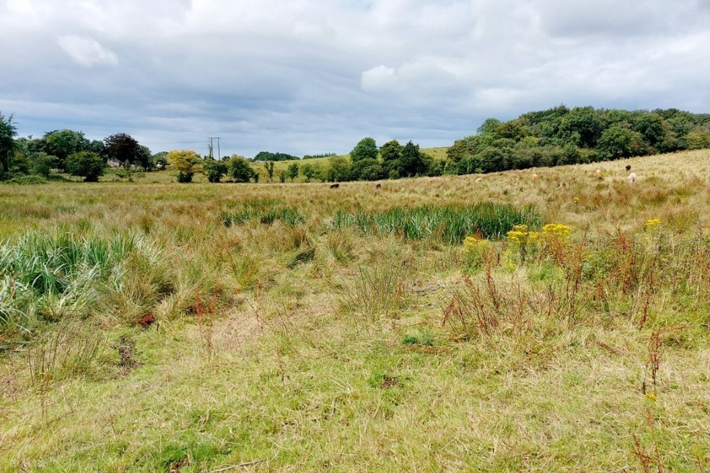 Castlecrine, Sixmilebridge, Co. Clare