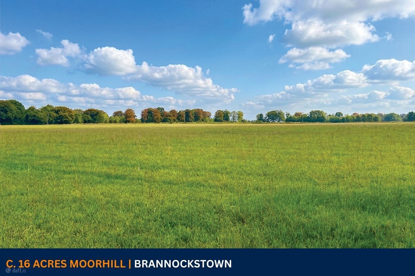 c. 16 Acres, Moorhill, Brannockstown, Naas, Co. Kildare