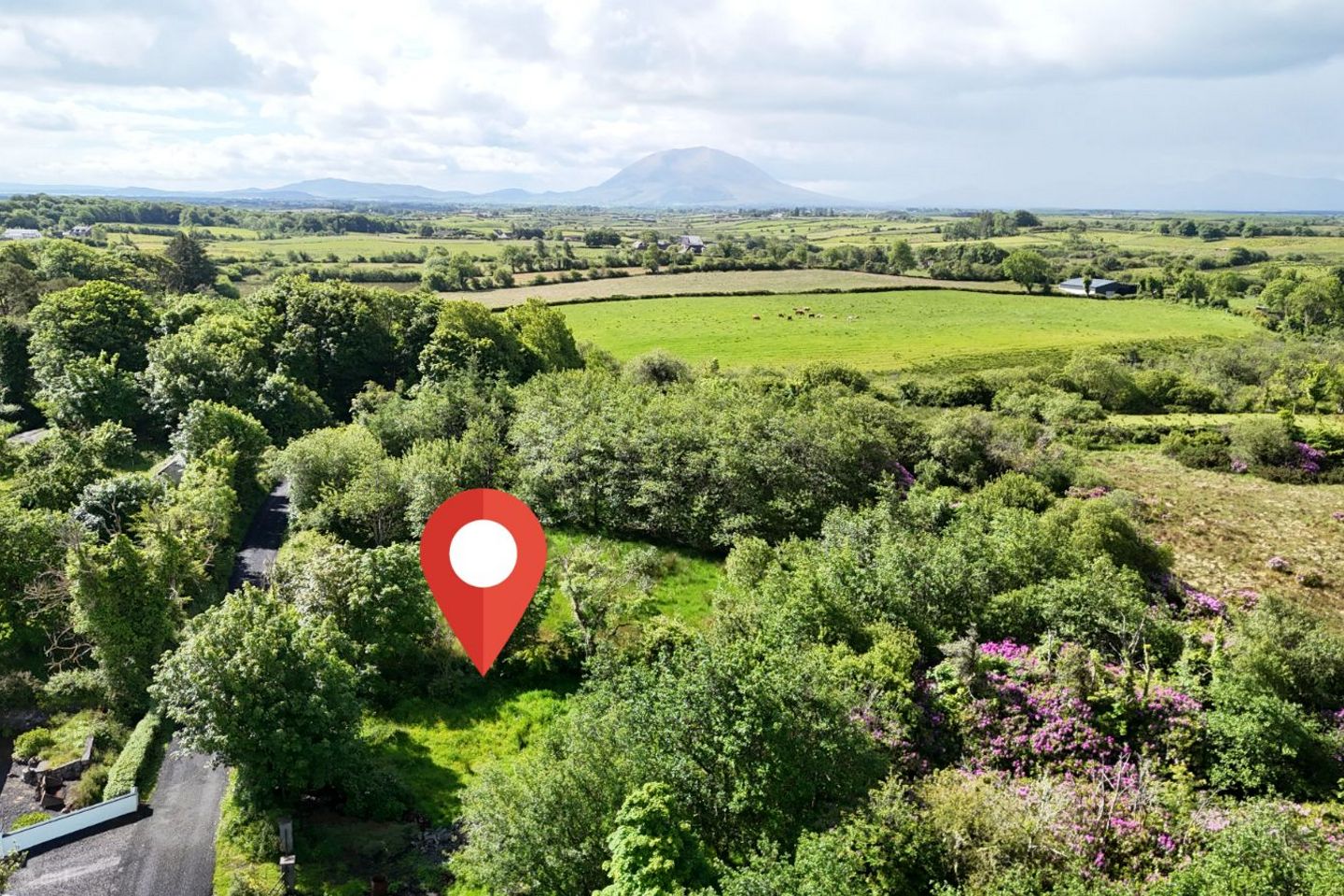 Ferrew, Garranard, Ballina, Co. Mayo