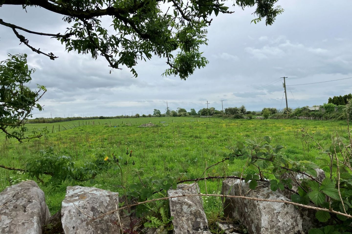 Annagh Hill, Ballyglunin, Co. Galway