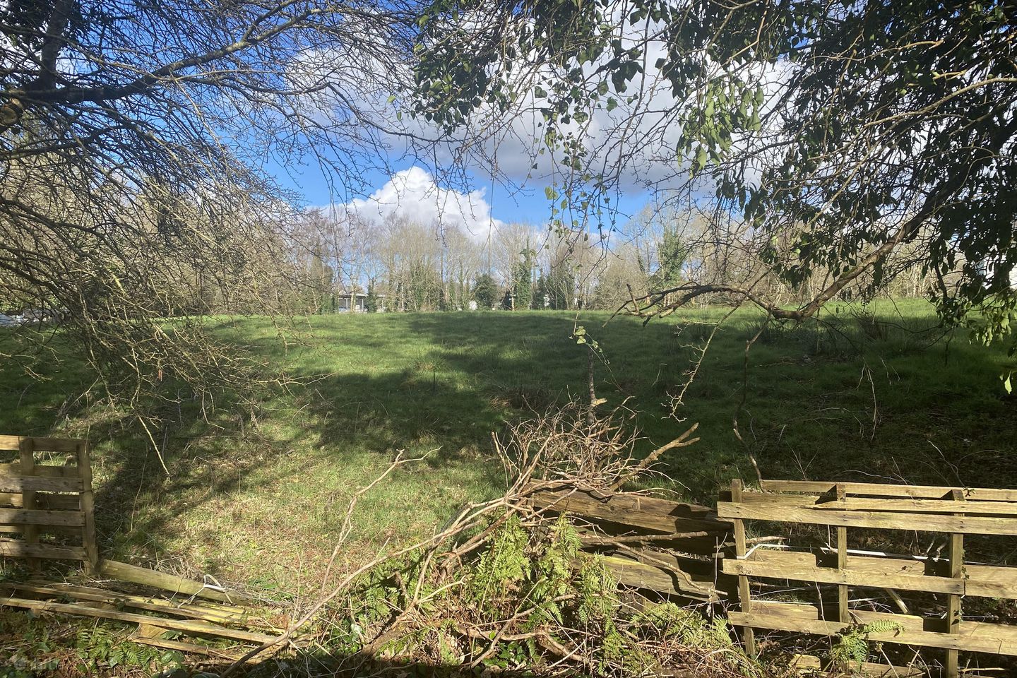 castlebar, Islandeady, Co. Mayo