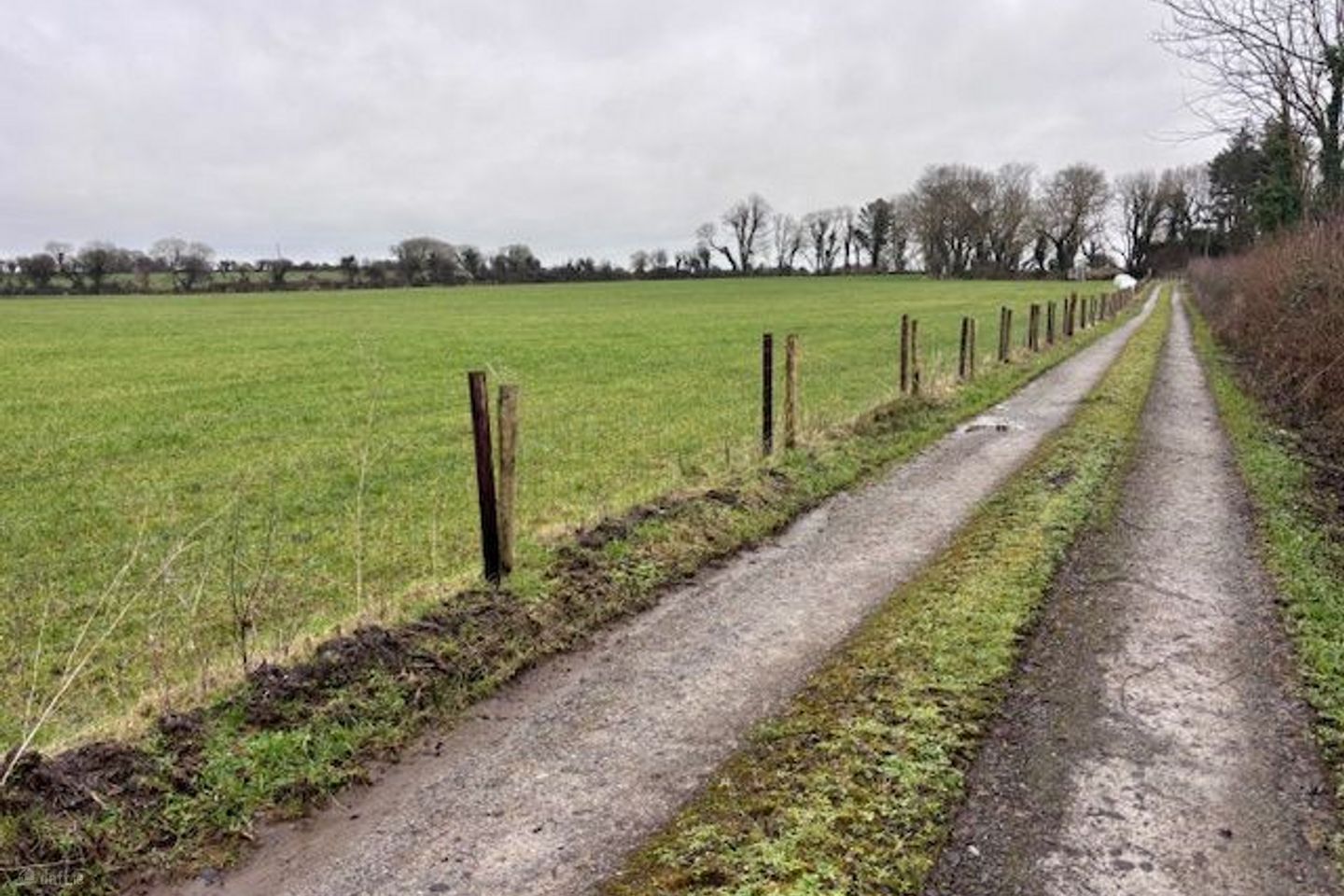 Cuss, Castlemaine, Co. Kerry