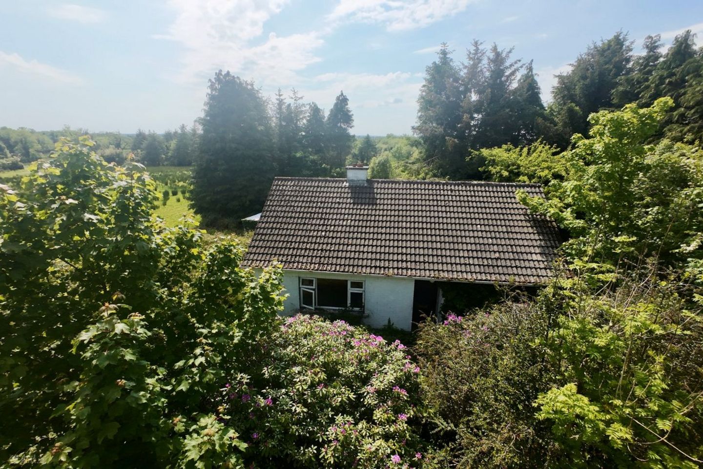 Annaghmore, Carrick-On-Shannon, Gortletteragh, Co. Leitrim, N41H523