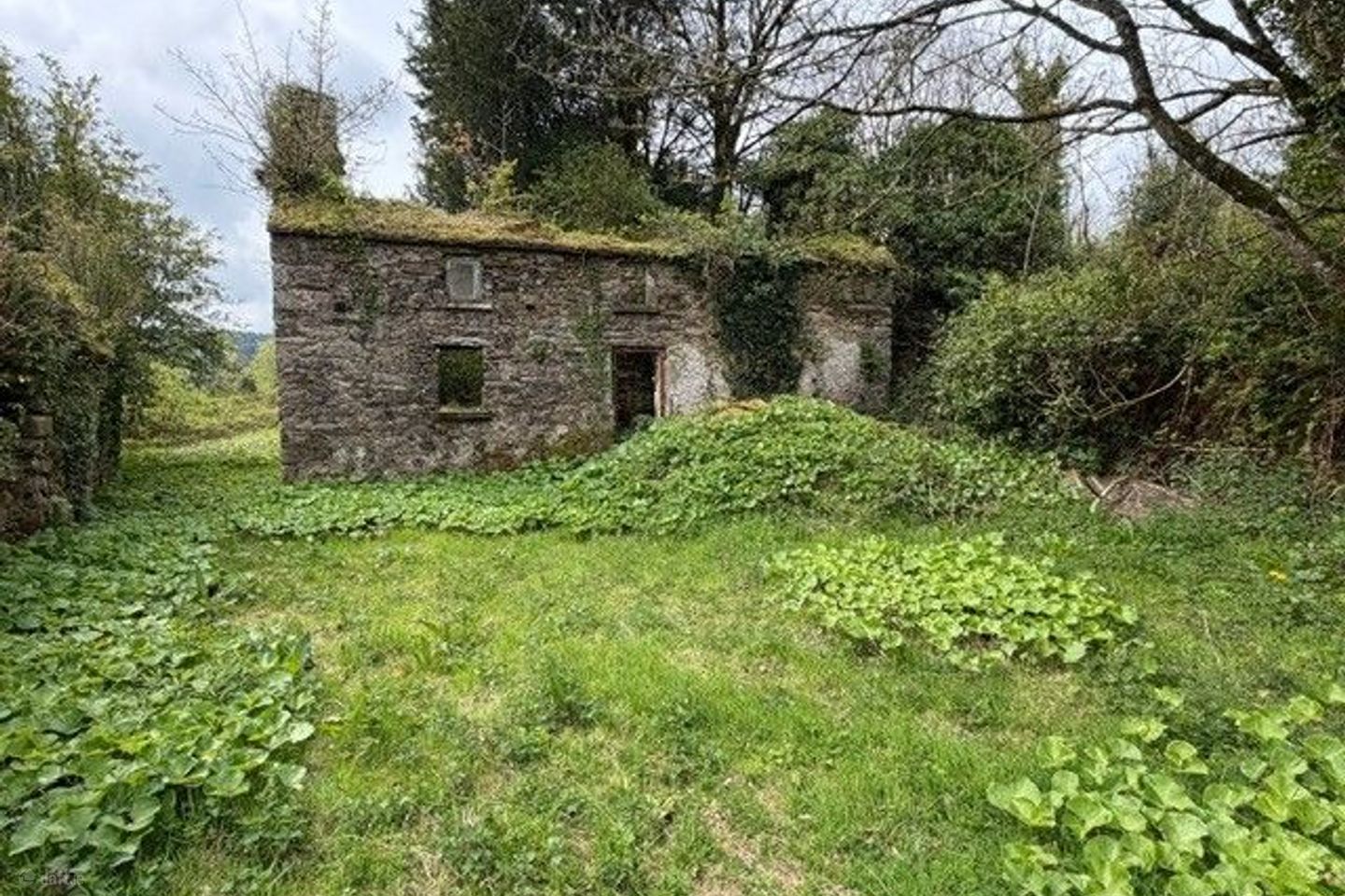 Ballyshane, Inistioge, Co. Kilkenny