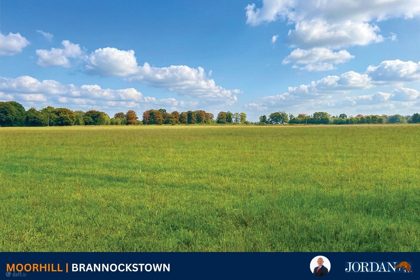 c. 16 Acres, Moorhill, Brannockstown, Brannockstown, Co. Kildare