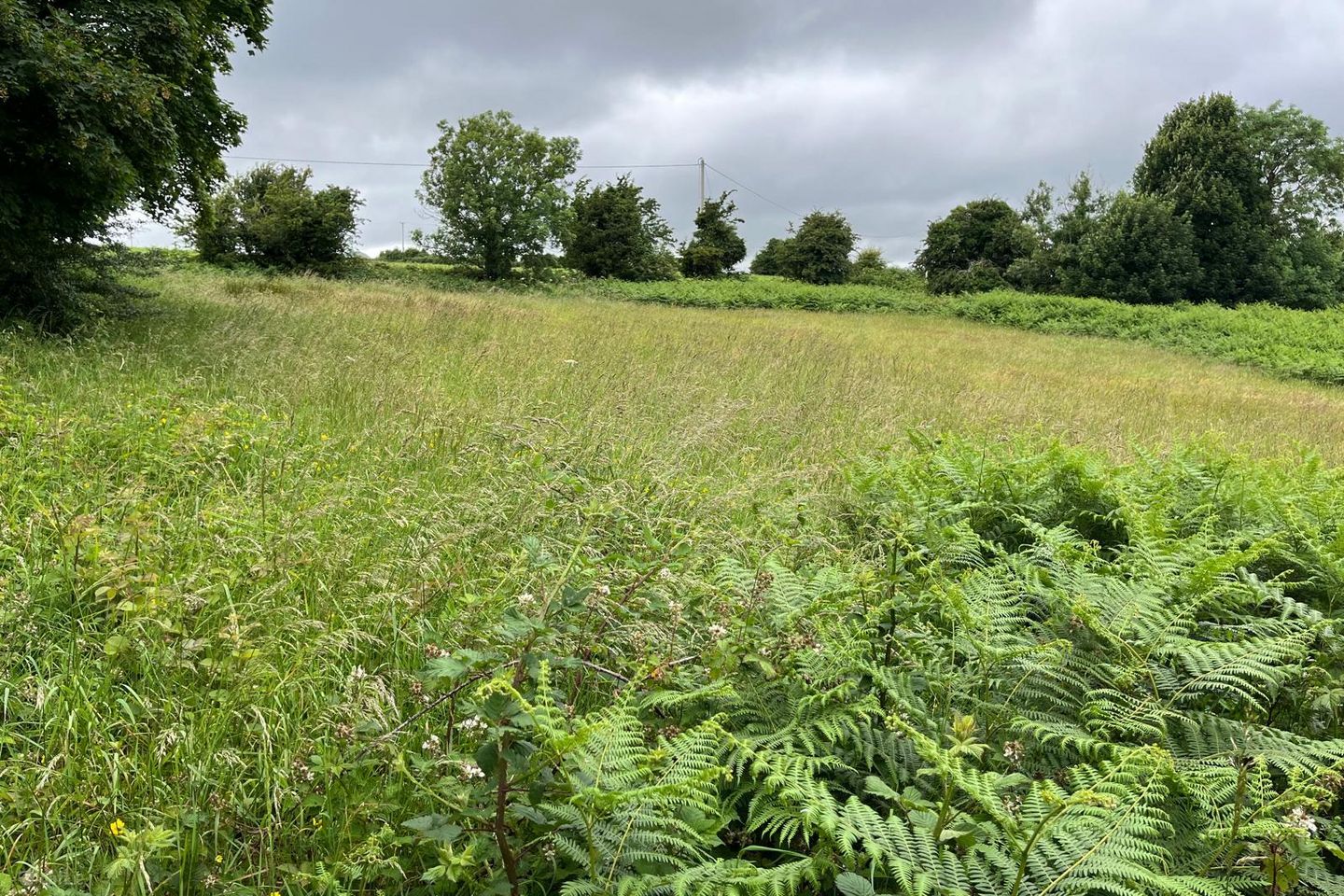 Ballinavally, Castlewarren, Co. Kilkenny