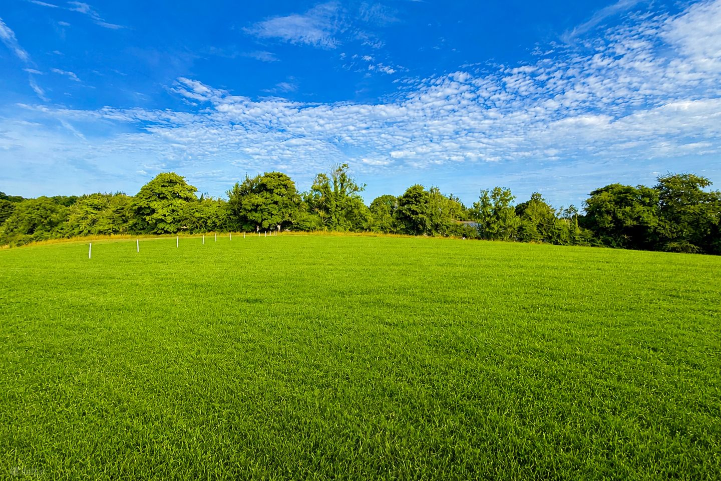 Site With F.P.P., Moyetra TD, Clontibret, Co. Monaghan