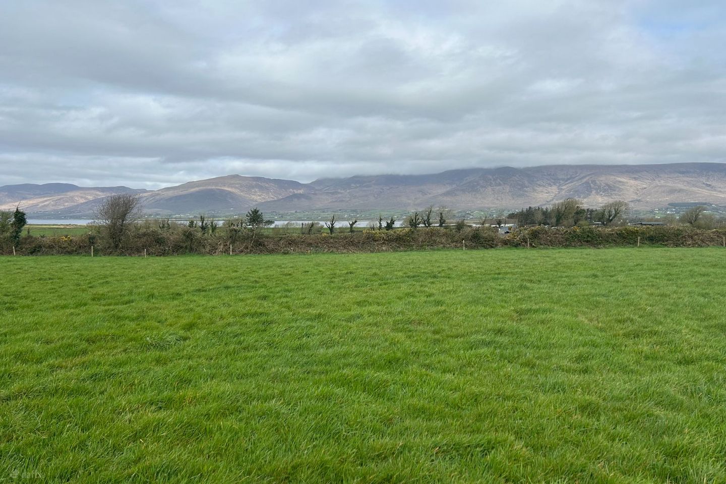 Callinafercy West, Milltown, Co. Kerry