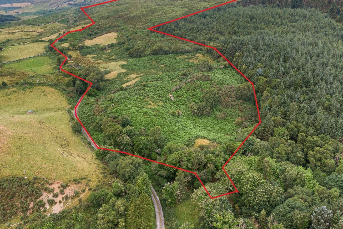 Lot 7, Gurteen, Kilgarvan, Co. Kerry, V93W293