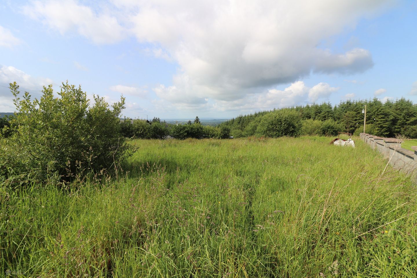 Cooleycasey, Sixmilebridge, Co. Clare, V95N296