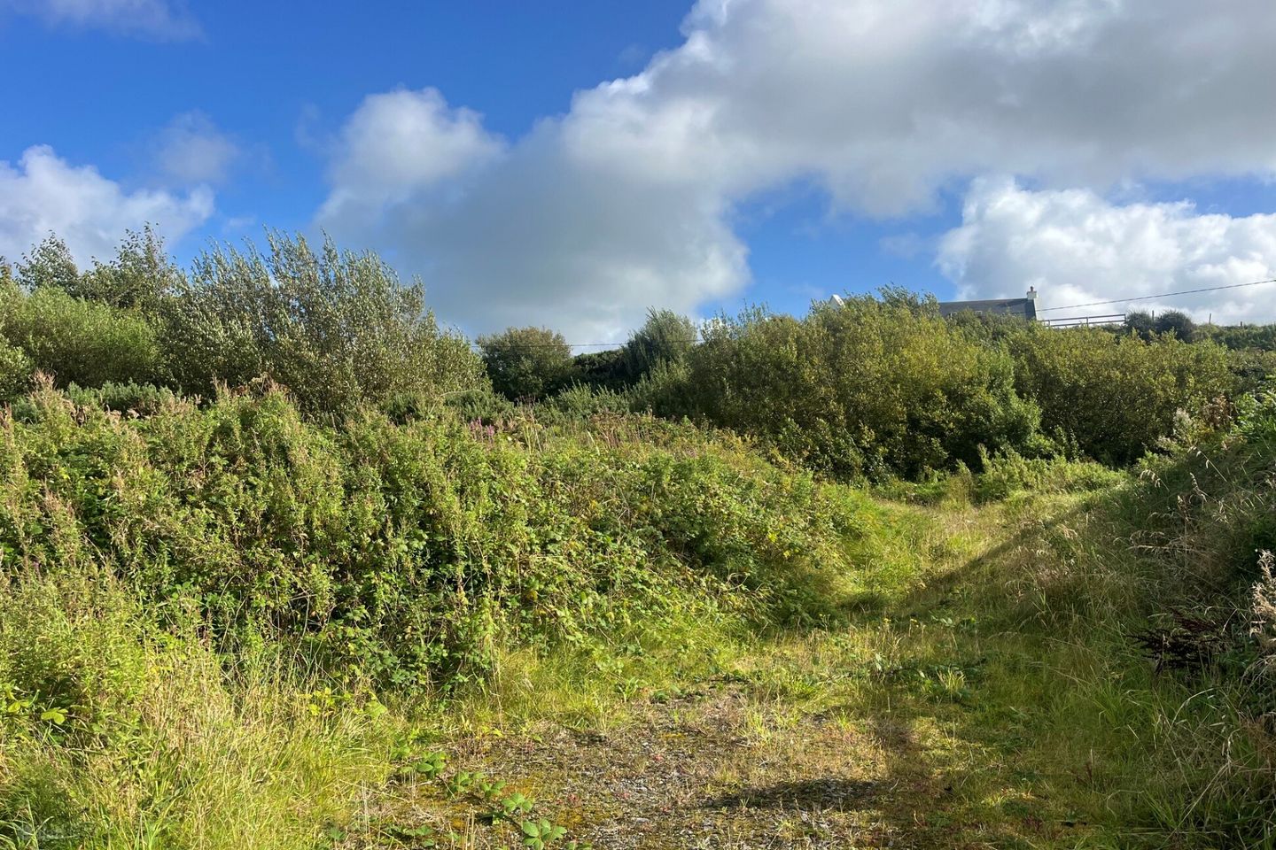 Infill Site Subject To Planning, Folio CE36366F, Dough, Lahinch, Co Clare