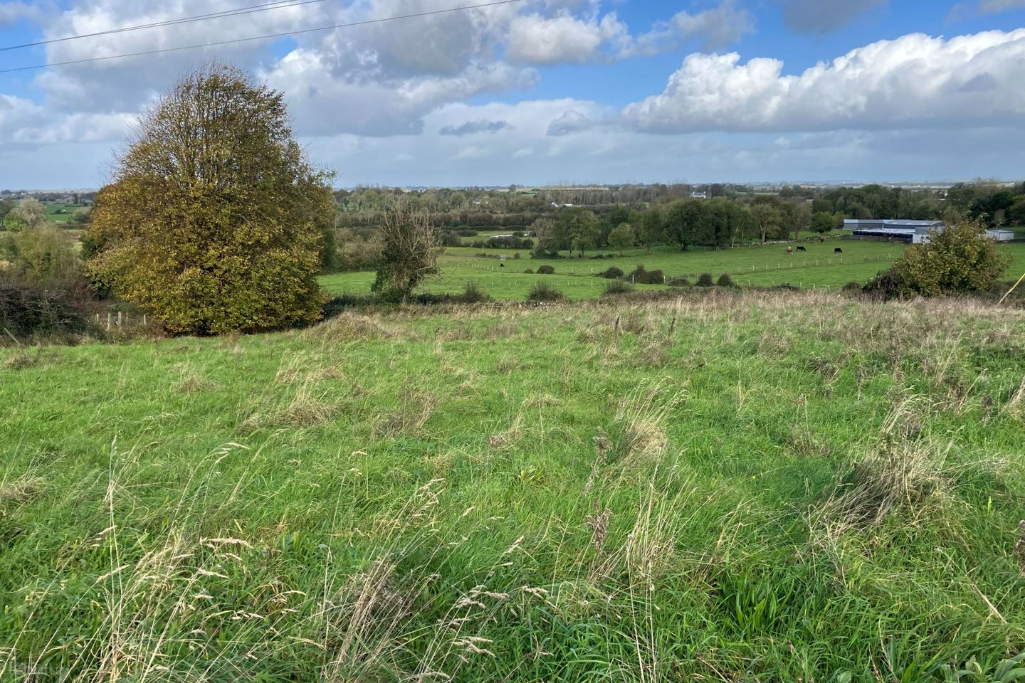 Carrowbeg, Belclare, Co. Galway