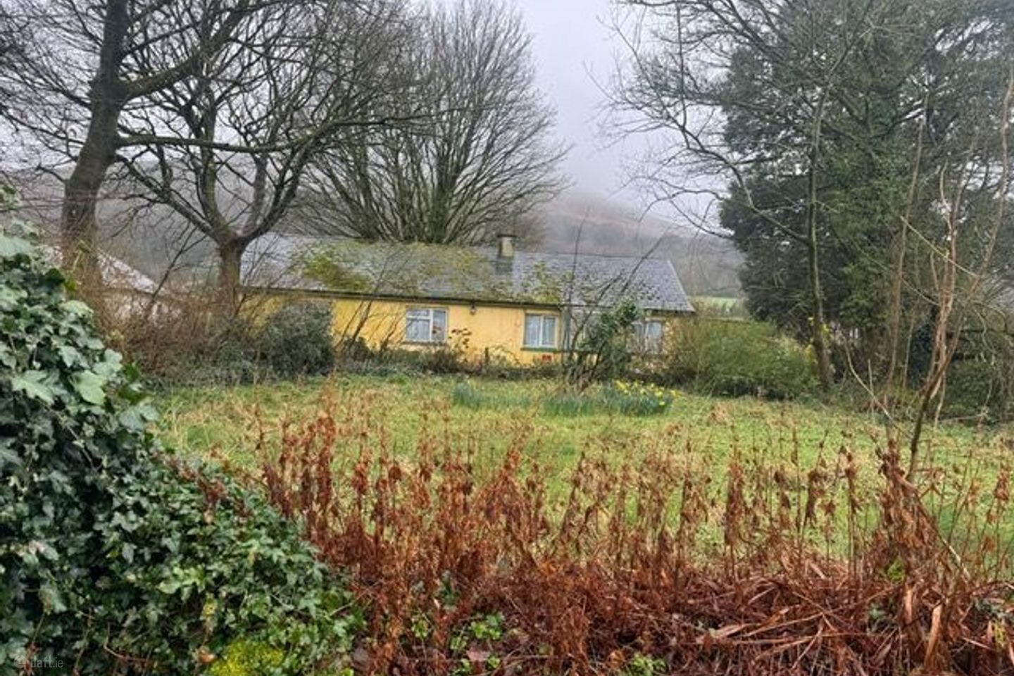 Glenosheen, Ardpatrick, Co. Limerick, V35P448