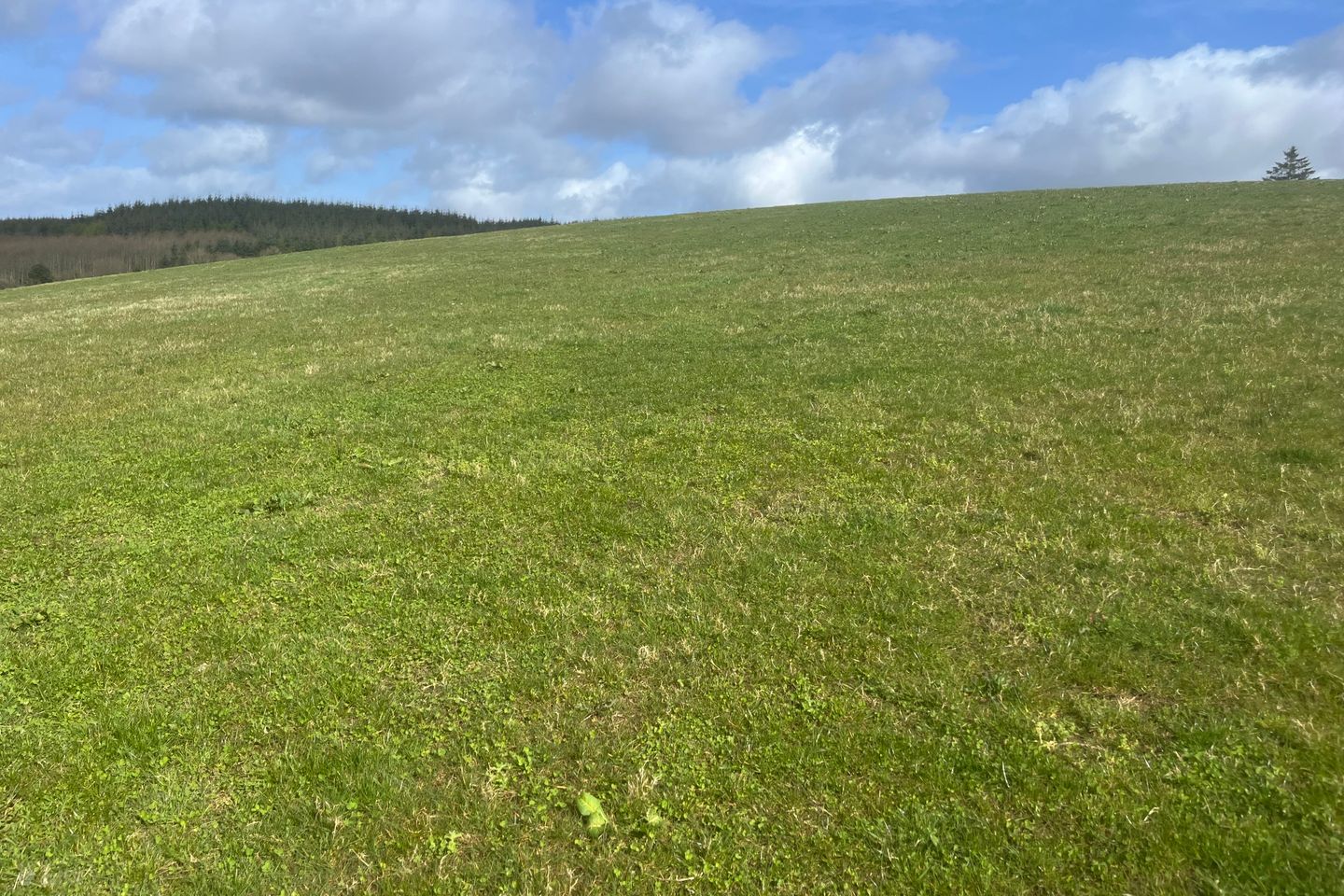 Gaddenbeag, Ballygawley, Co. Sligo