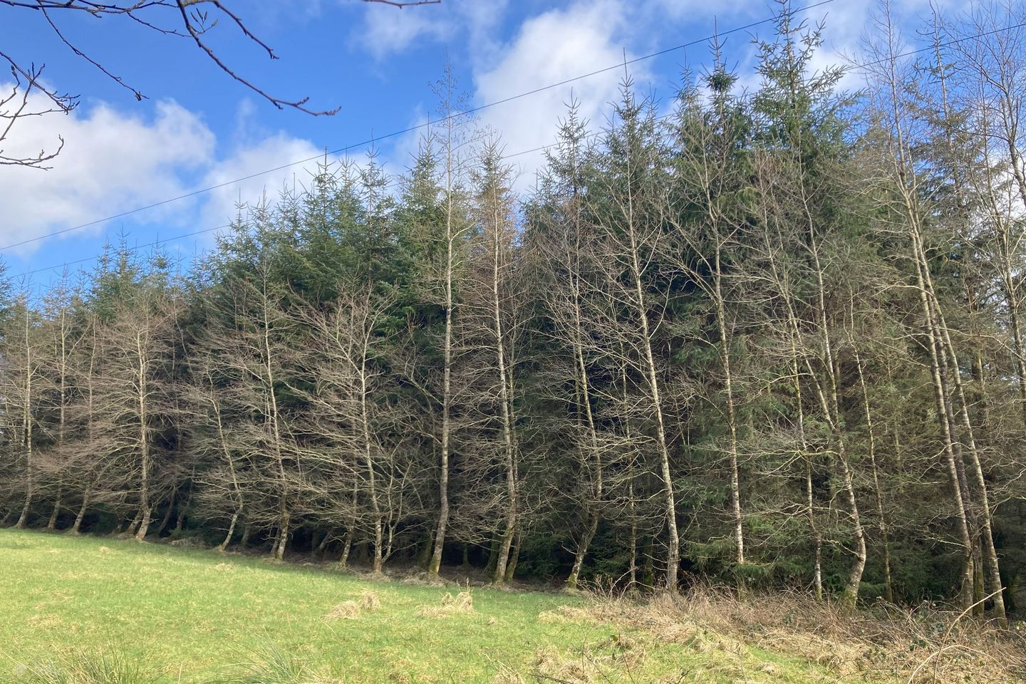 Knockalough Commons, Upperchurch, Thurles, Co. Tipperary