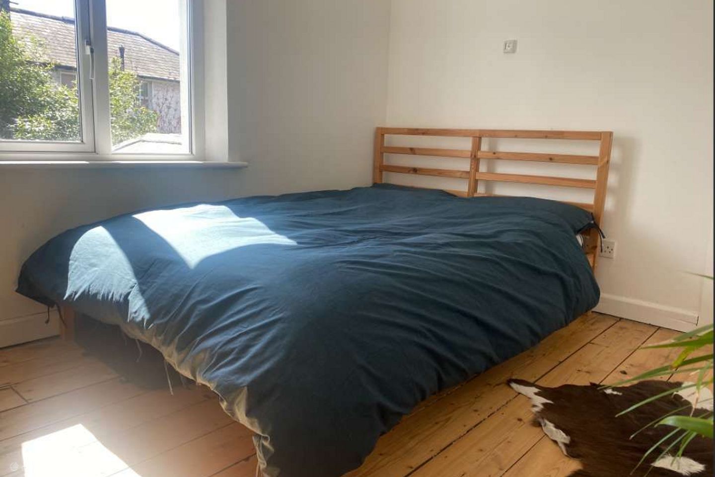 Donore Avenue, Portobello, Dublin 8