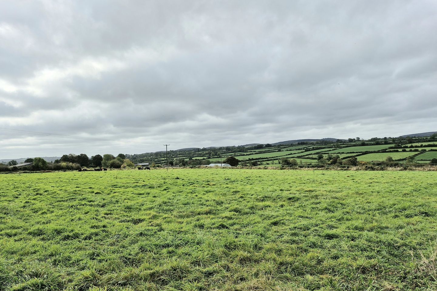 Lukeswell Mullinavat Co Kilkenny, Lukeswell, Co. Kilkenny