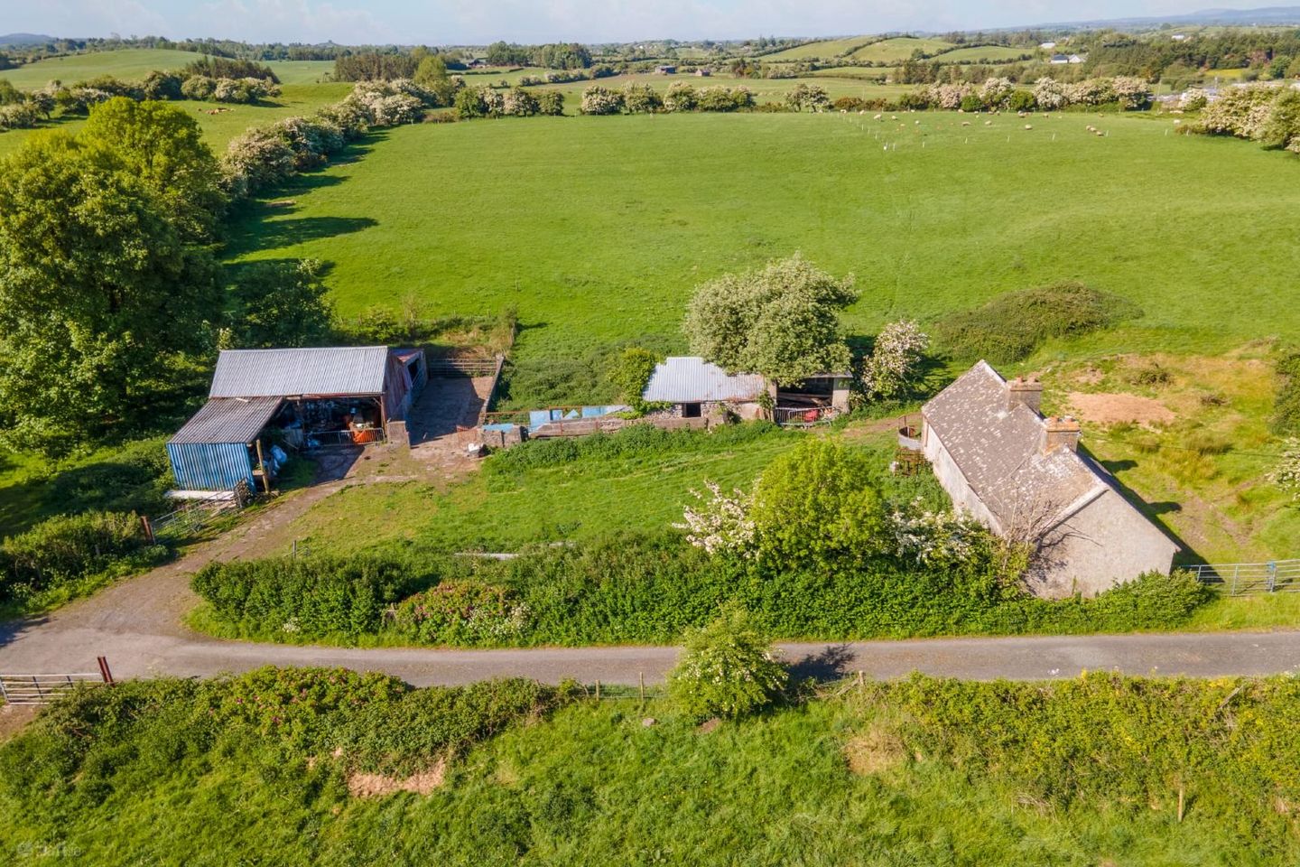 Cloonconra, Straide, Co. Mayo