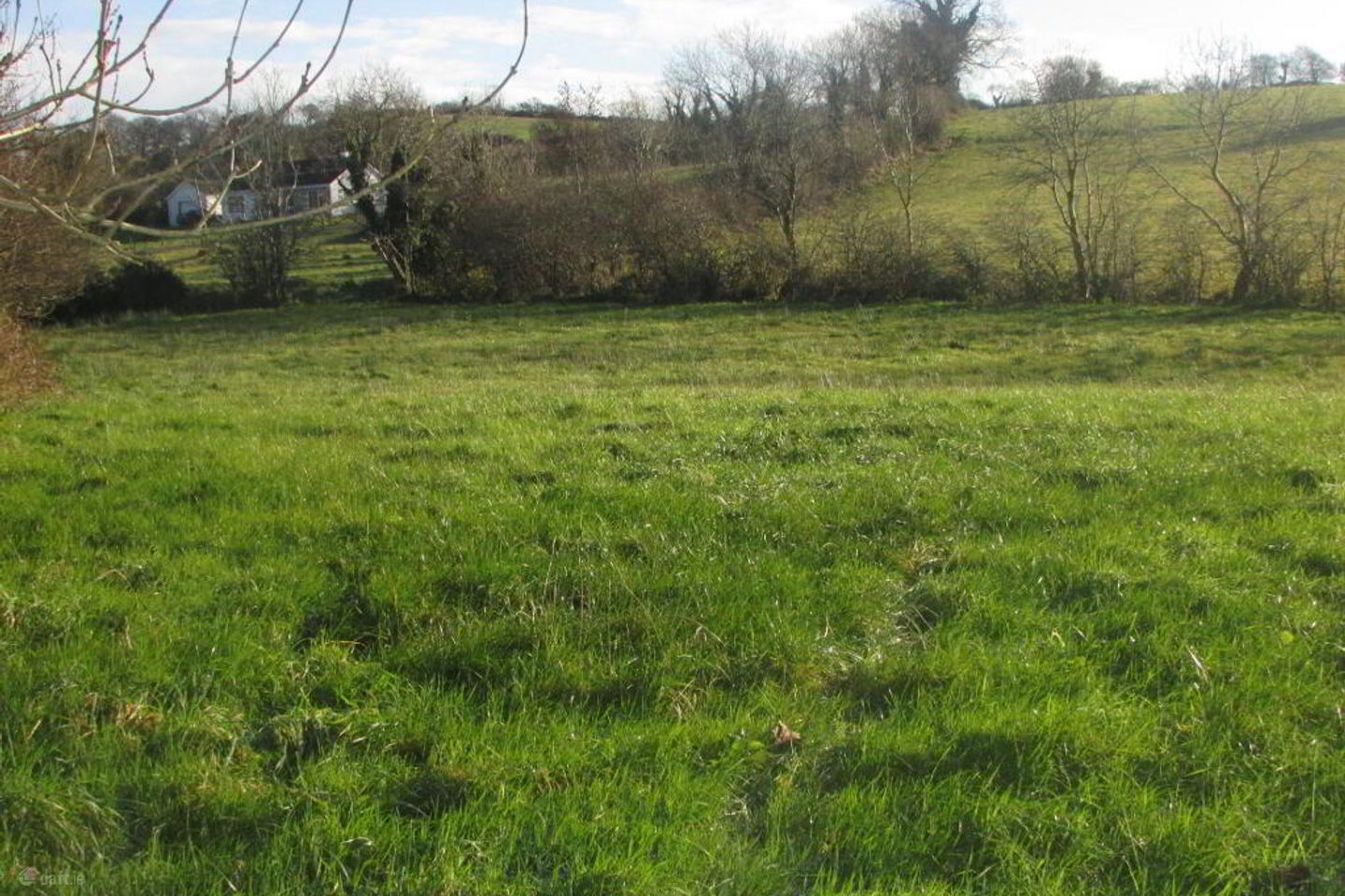 Derry, Shercock