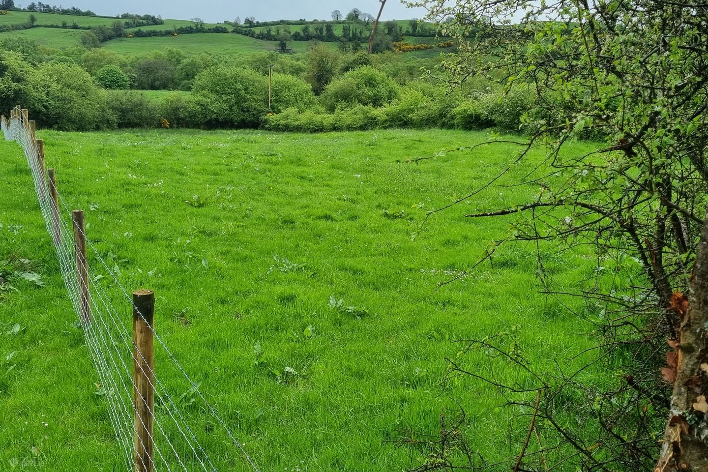 Fahymore, Kilmore, O'Briensbridge, Co. Clare, V94A034