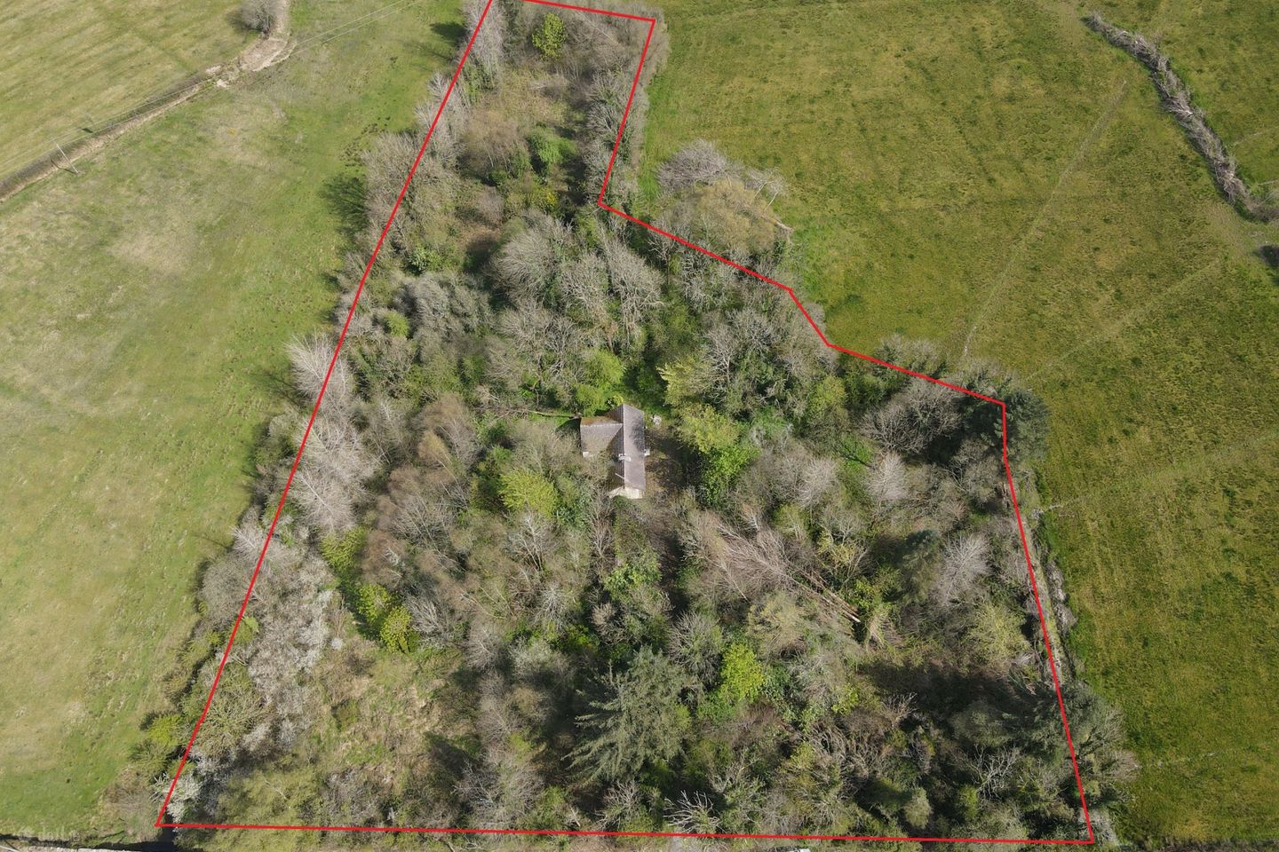 Leitrim Lower, Eslin, Co. Leitrim, N41A6K0