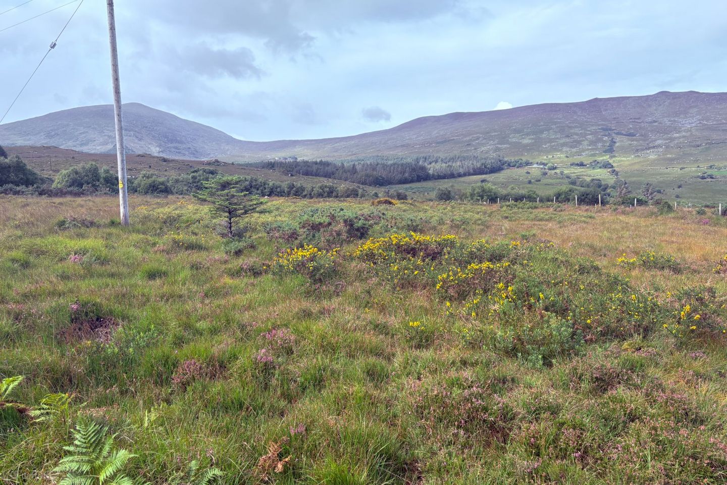 Dreenagh, Glencar, Co. Kerry, V93X2R2