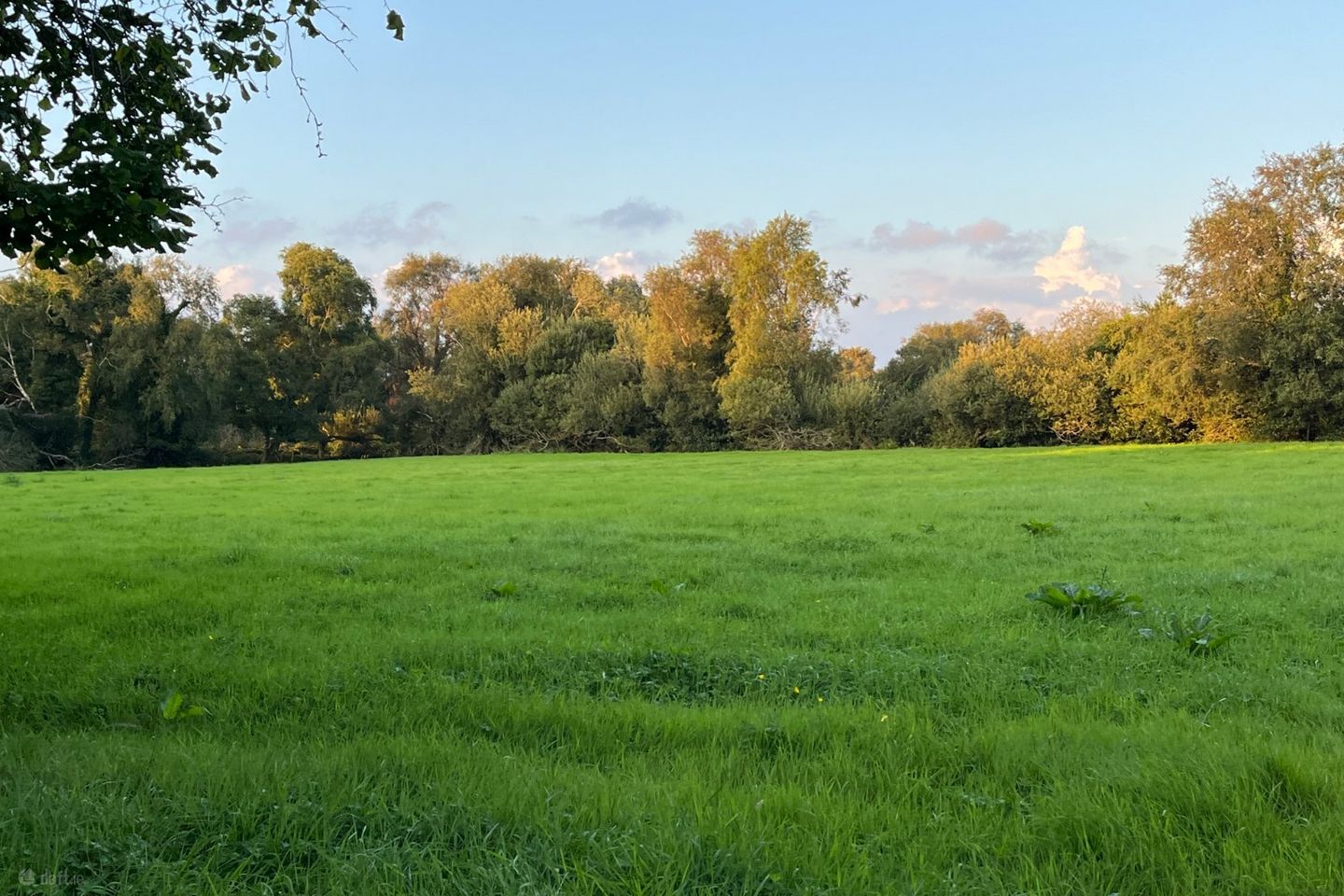 Lemonfield, Oughterard, Co Galway