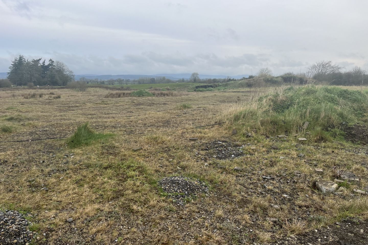 Glenall Rock Road, Borris-in-Ossory, Co. Laois