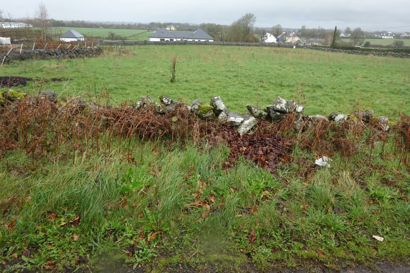 Lydican, Claregalway, Co. Galway