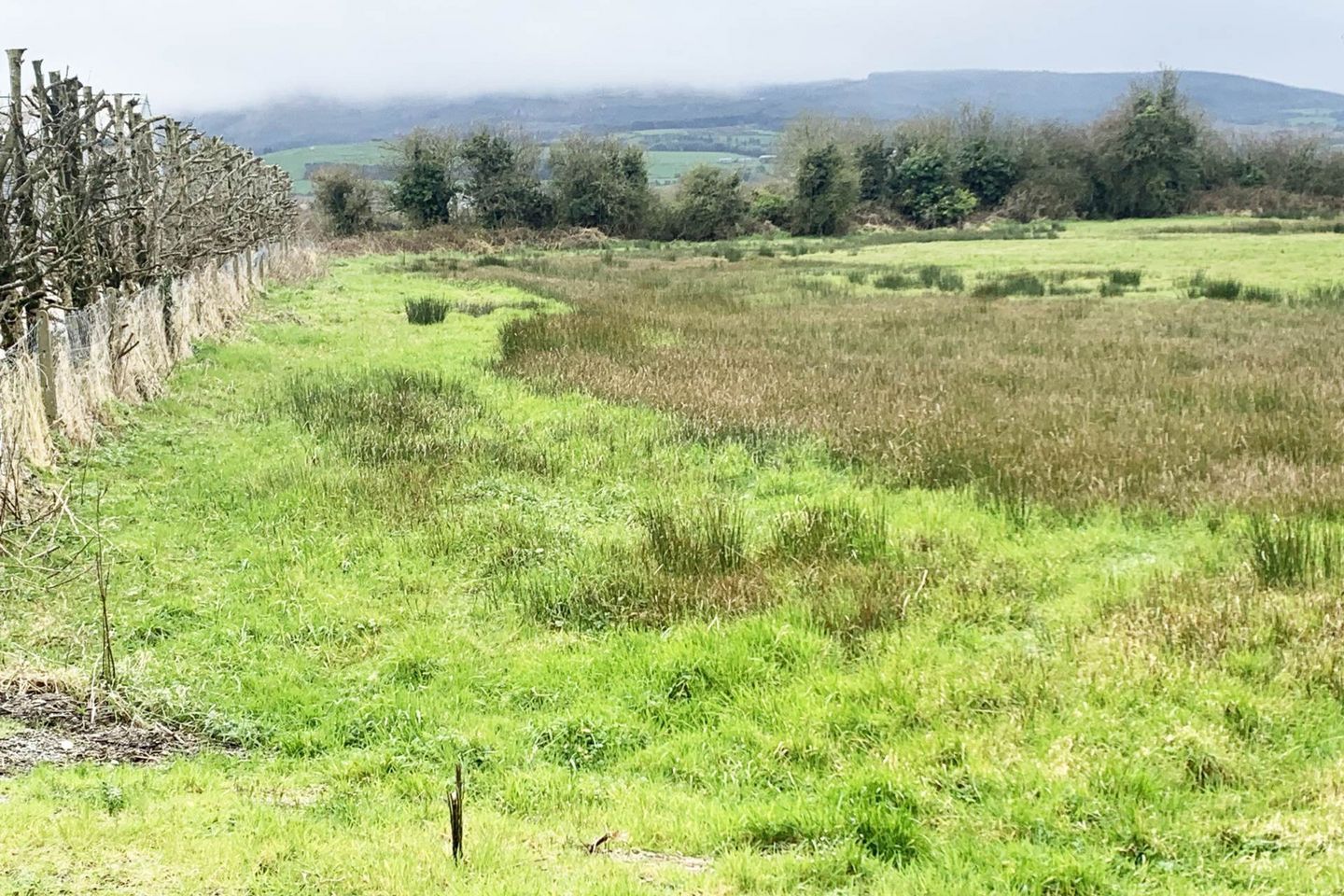 Ballinahown, Kilmallock, Co. Limerick