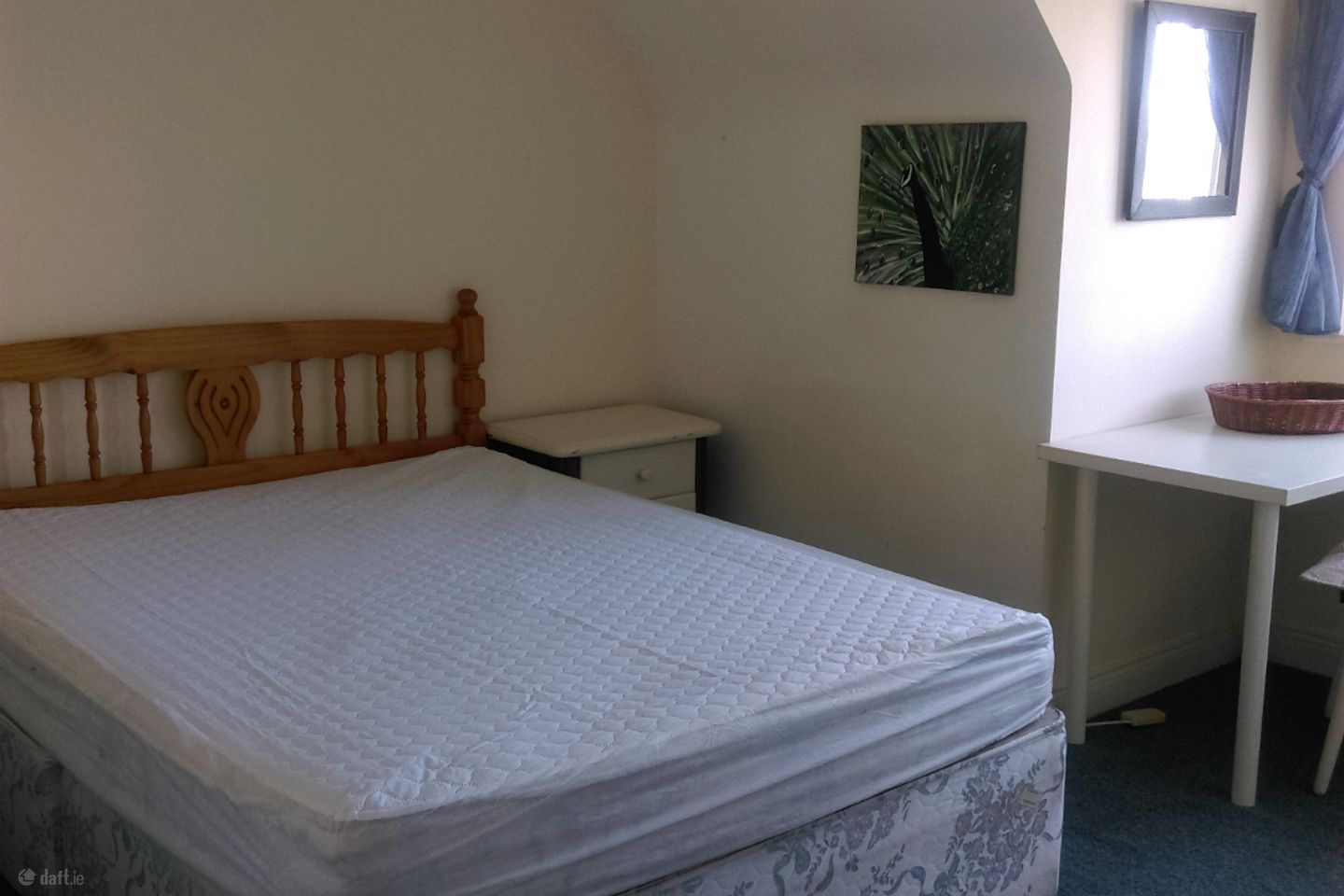 Oakleigh Wood, Dooradoyle, Co. Limerick