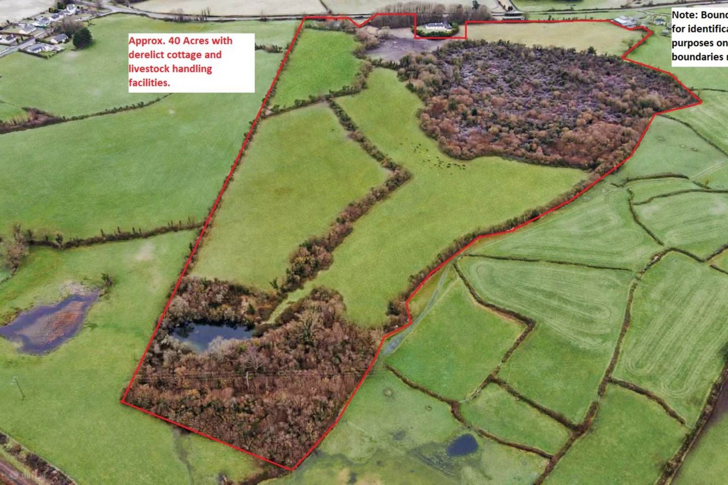 Cloonahaha, Gort, Co. Galway