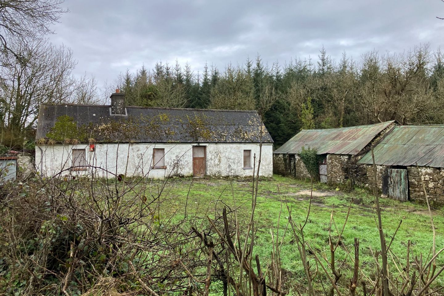 Maule, Boherbue, Boherbue, Co. Cork, P51V9V4