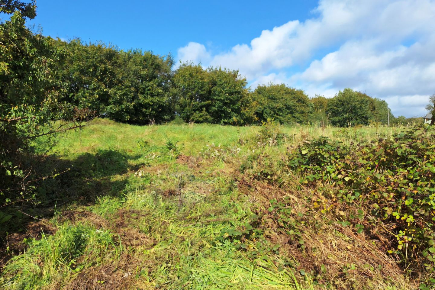 Bellfield, Claremorris, Co. Mayo