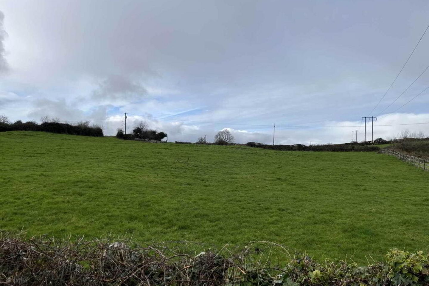 Corgrigg, Foynes, Co. Limerick