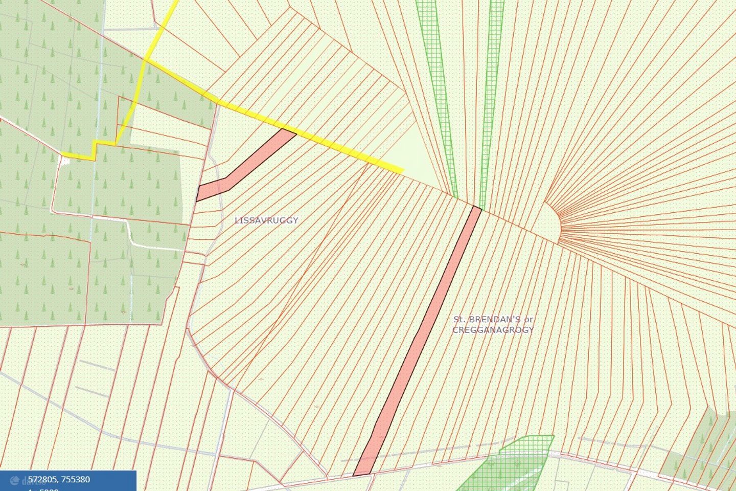 4.9 Acres of Bog at Lissavruggy, Newbridge, Ballygar, Co. Galway