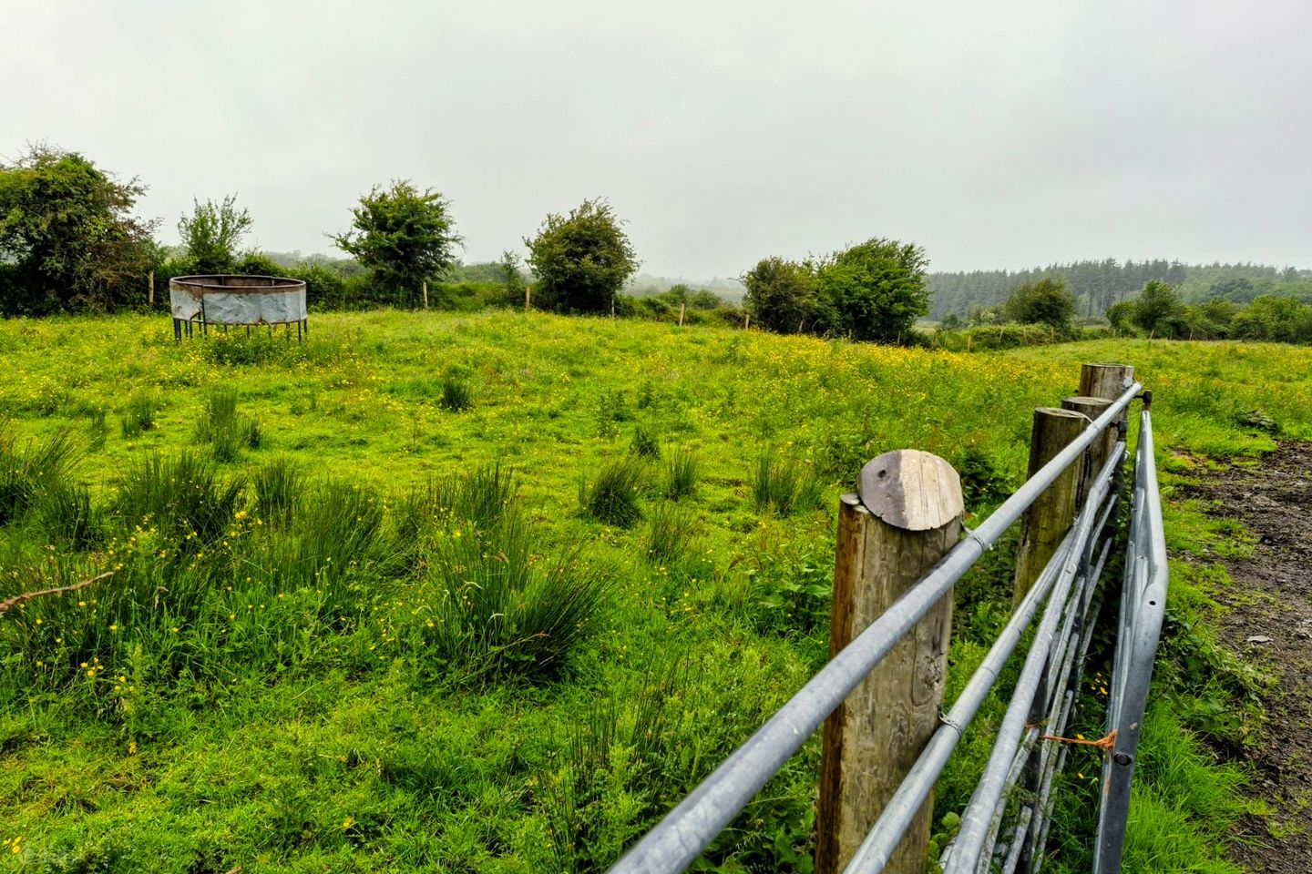 Liscottle, Swinford, Co. Mayo