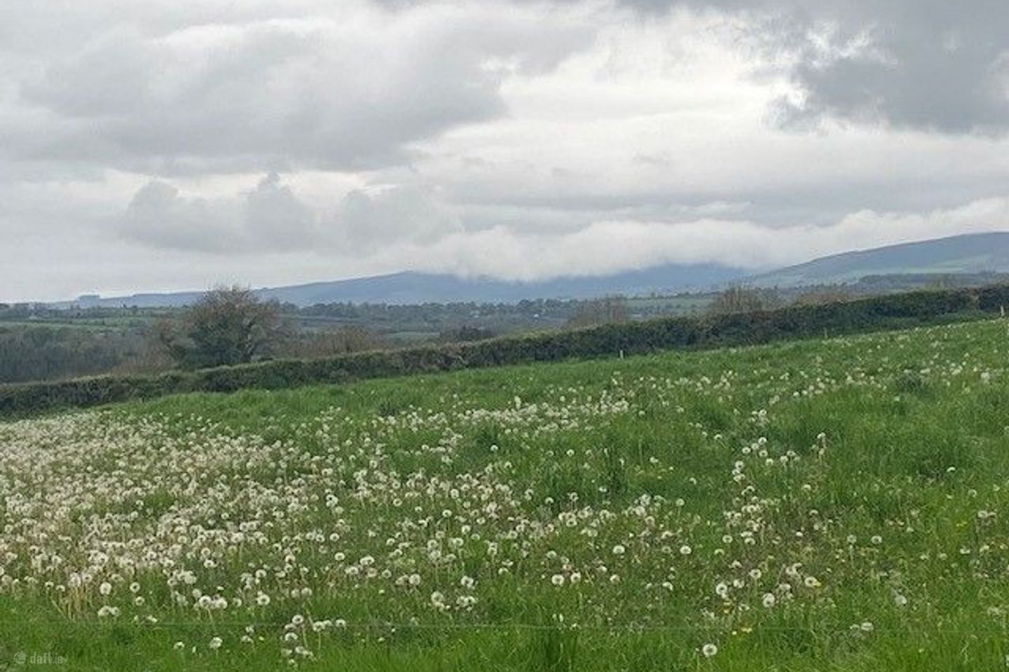 Site B at Ballyminane Mills, Enniscorthy, Co. Wexford