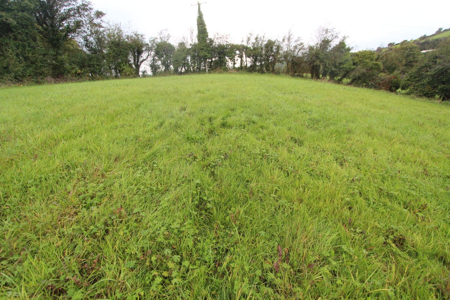 Corratanty, Castleblayney, Co. Monaghan