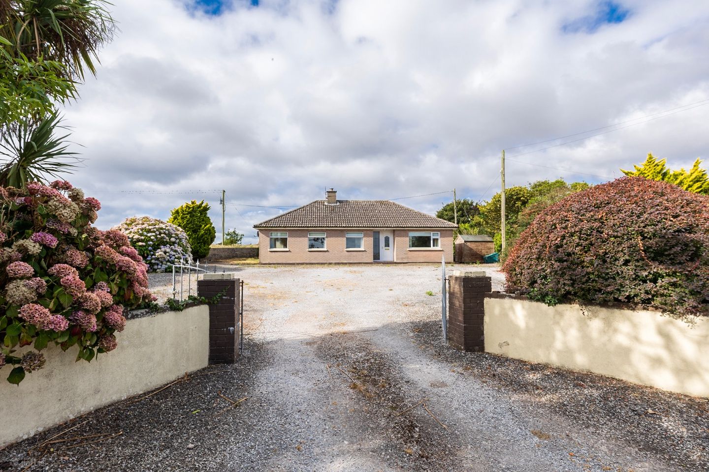 Hawthorn, Ballycatoo, Cloyne, Co. Cork, P25V189