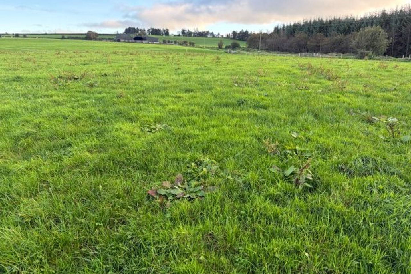 Cummer, Newcestown, Co. Cork