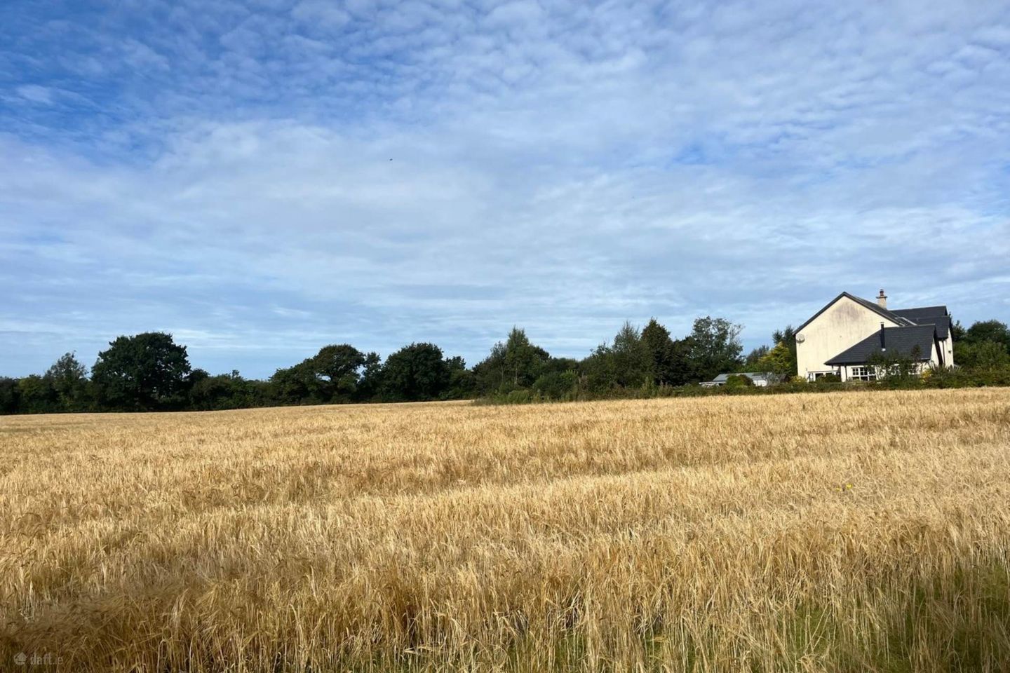 Ballyeden (C. 0.75 Acre Site), Camolin, Co. Wexford