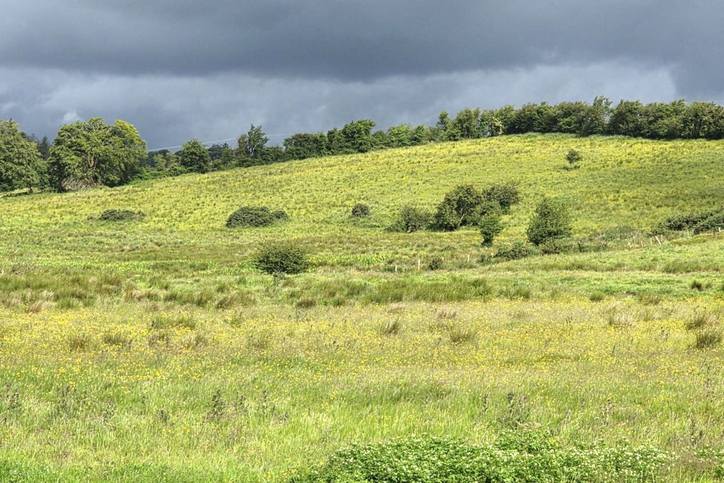 Cloonagashel and Ardrea, Ballymote, Co. Sligo